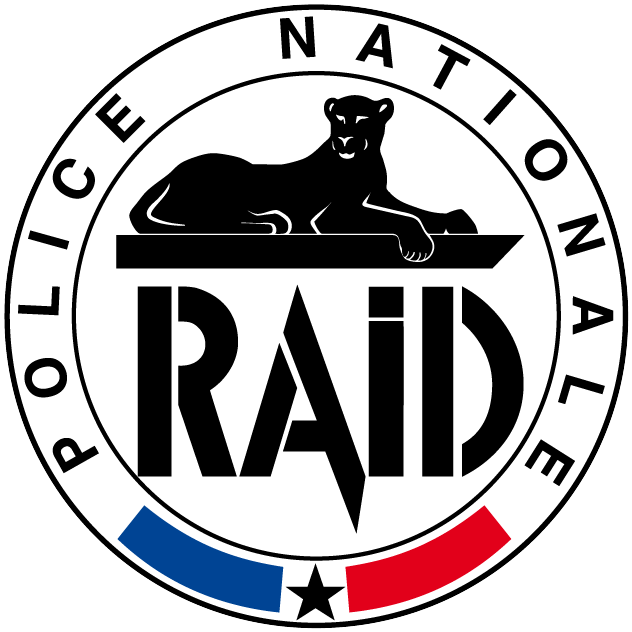 RAID logo